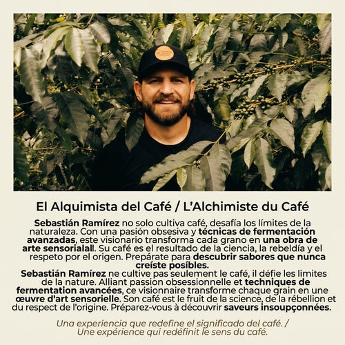 CAFÉ DE SPÉCIALITÉ ligne d'or - Sebastian Ramirez co-fermenté